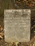 image of grave number 51564